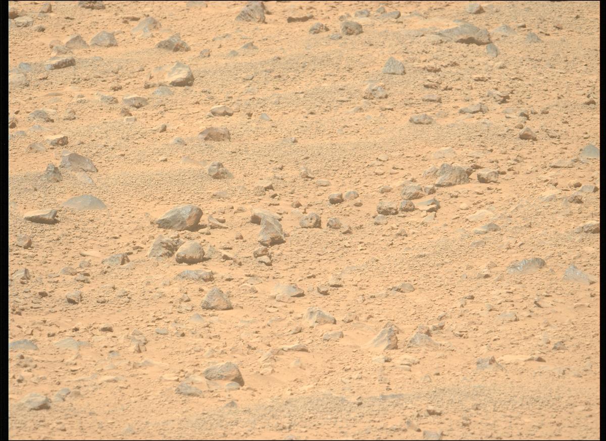 This image was taken by MCZ_LEFT onboard NASA's Mars rover Perseverance on Sol 1356
