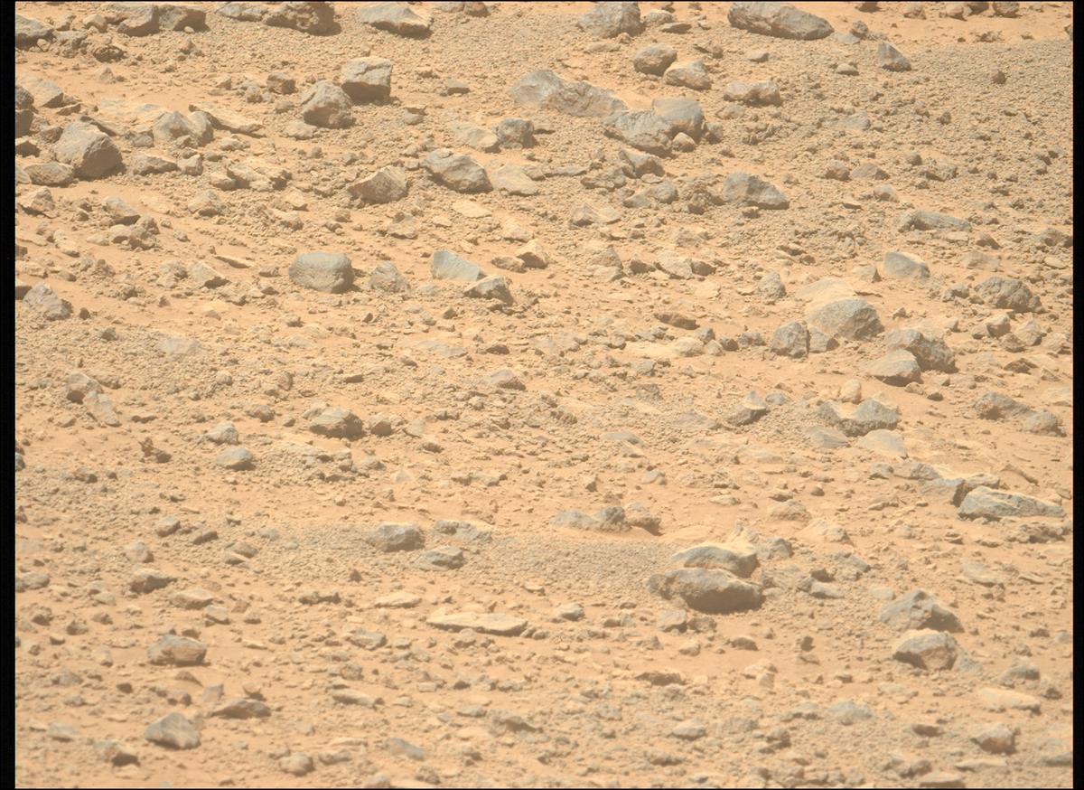 This image was taken by MCZ_LEFT onboard NASA's Mars rover Perseverance on Sol 1356
