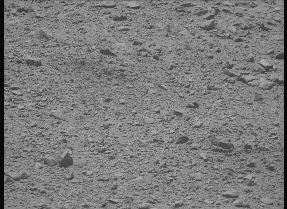 This image was taken by MCZ_LEFT onboard NASA's Mars rover Perseverance on Sol 1356