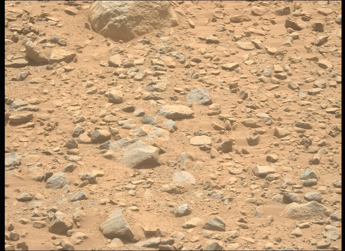 This image was taken by MCZ_LEFT onboard NASA's Mars rover Perseverance on Sol 1356