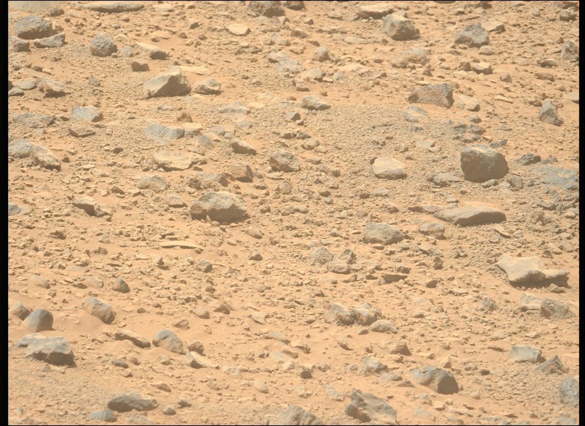 This image was taken by MCZ_LEFT onboard NASA's Mars rover Perseverance on Sol 1356