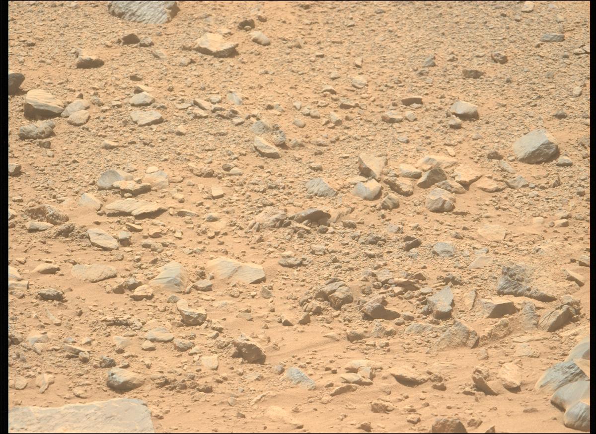 This image was taken by MCZ_LEFT onboard NASA's Mars rover Perseverance on Sol 1356