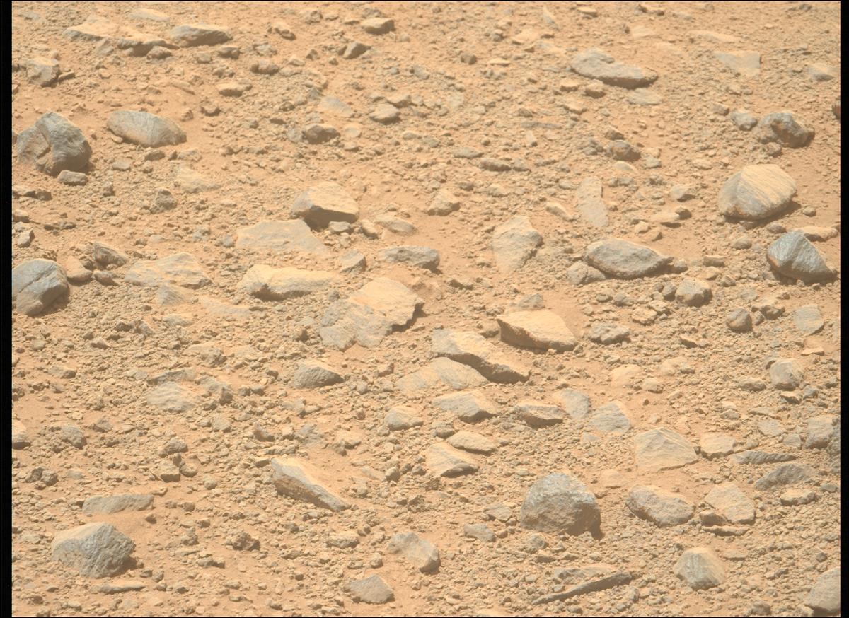 This image was taken by MCZ_LEFT onboard NASA's Mars rover Perseverance on Sol 1356