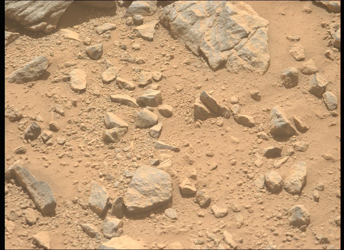 This image was taken by MCZ_LEFT onboard NASA's Mars rover Perseverance on Sol 1356