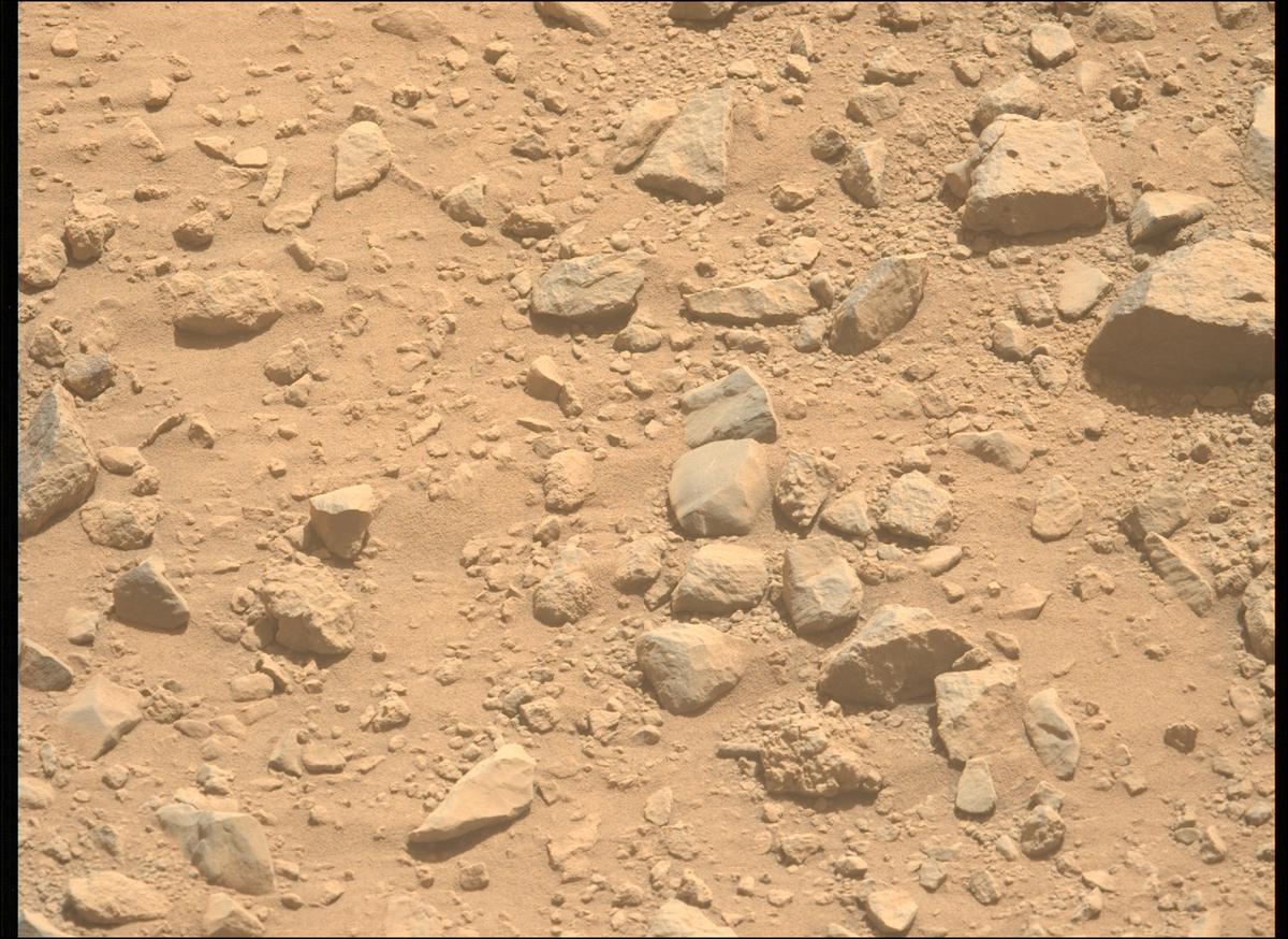 This image was taken by MCZ_LEFT onboard NASA's Mars rover Perseverance on Sol 1356