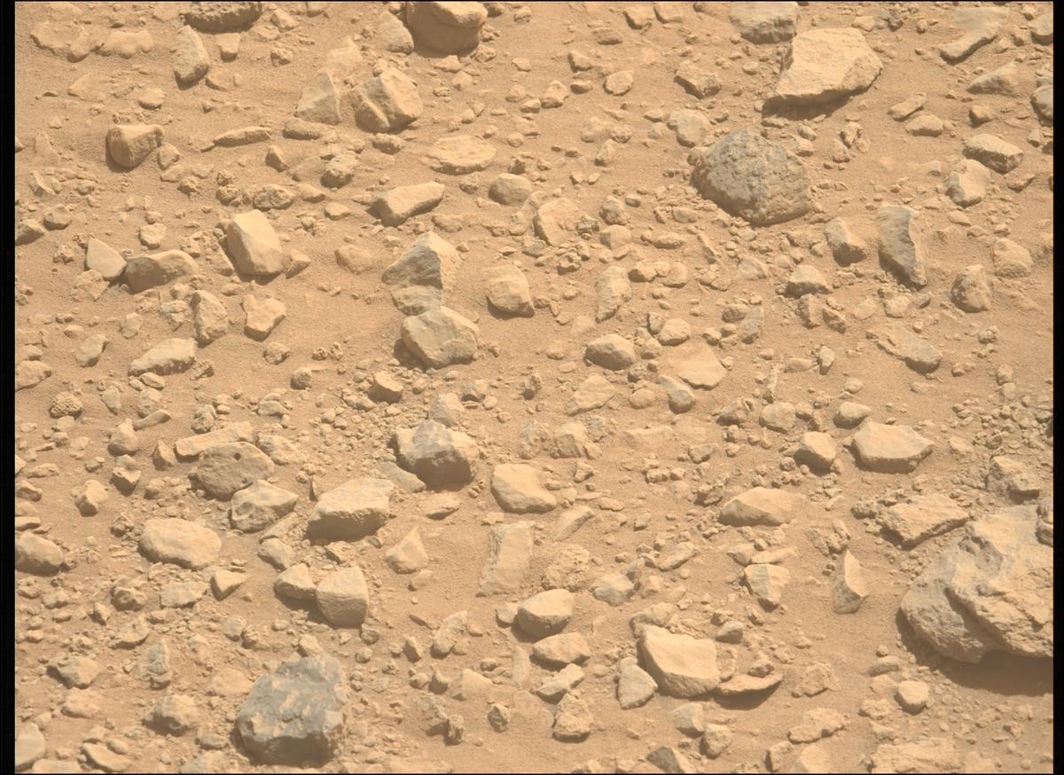 This image was taken by MCZ_LEFT onboard NASA's Mars rover Perseverance on Sol 1356