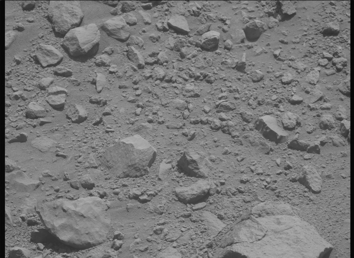 This image was taken by MCZ_LEFT onboard NASA's Mars rover Perseverance on Sol 1356