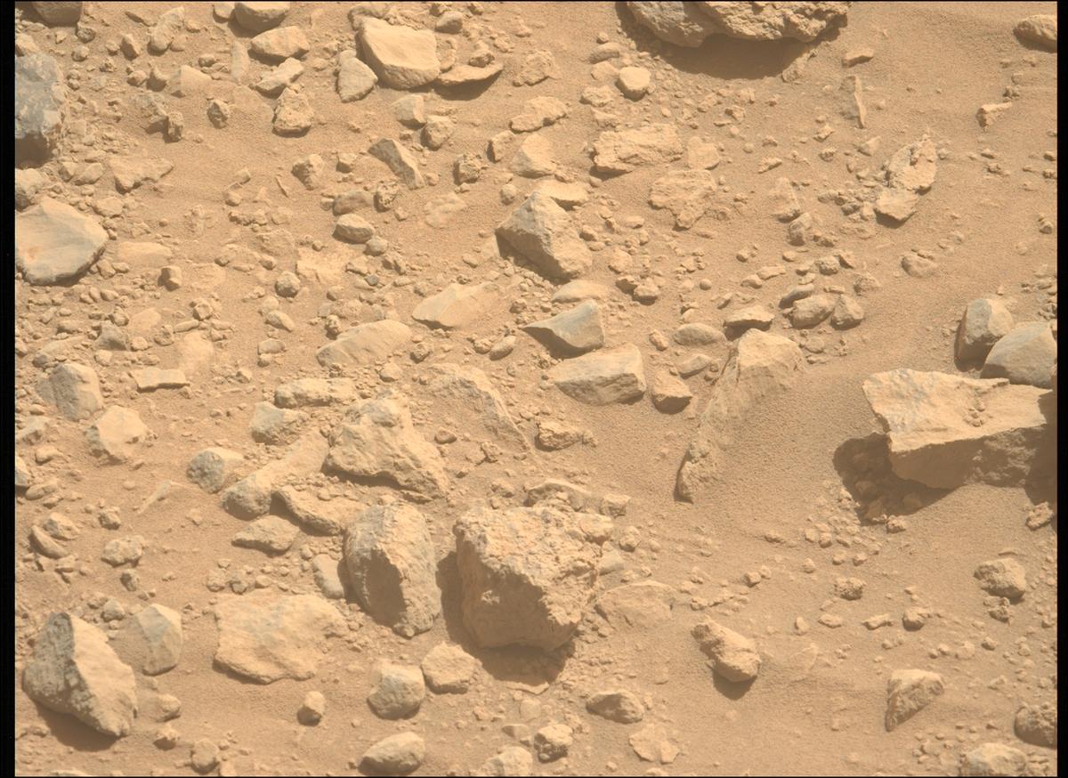 This image was taken by MCZ_LEFT onboard NASA's Mars rover Perseverance on Sol 1356