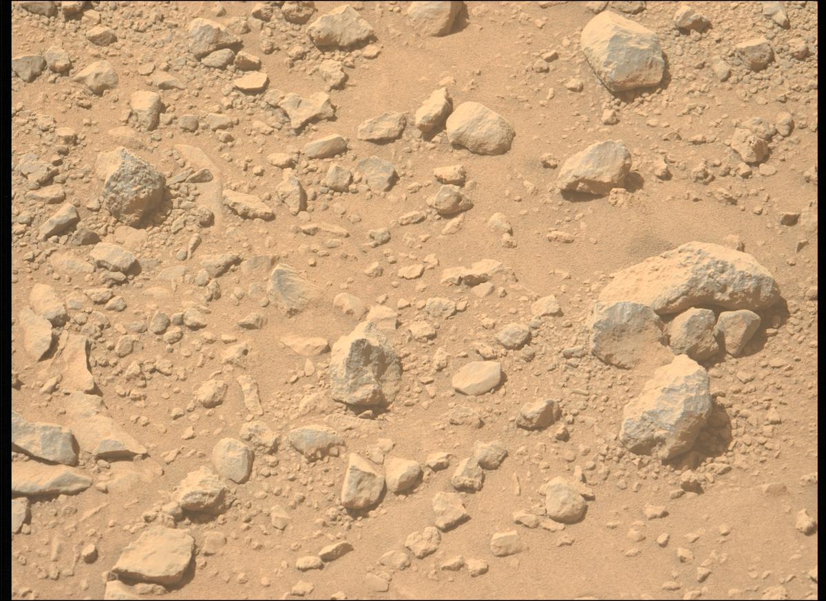 This image was taken by MCZ_LEFT onboard NASA's Mars rover Perseverance on Sol 1356