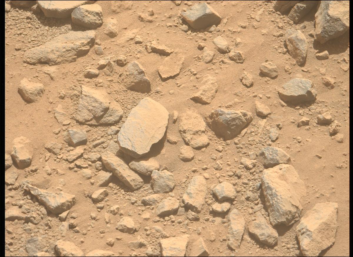 This image was taken by MCZ_LEFT onboard NASA's Mars rover Perseverance on Sol 1356