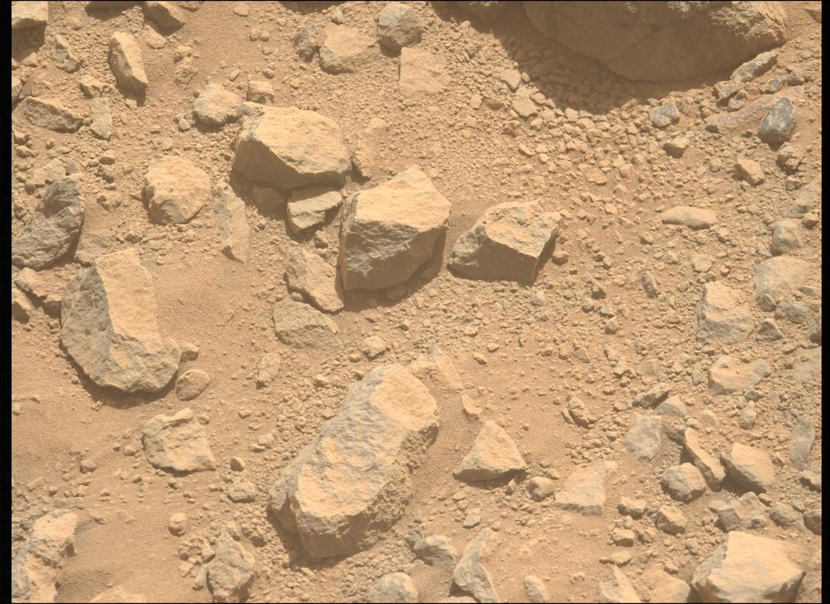 This image was taken by MCZ_LEFT onboard NASA's Mars rover Perseverance on Sol 1356