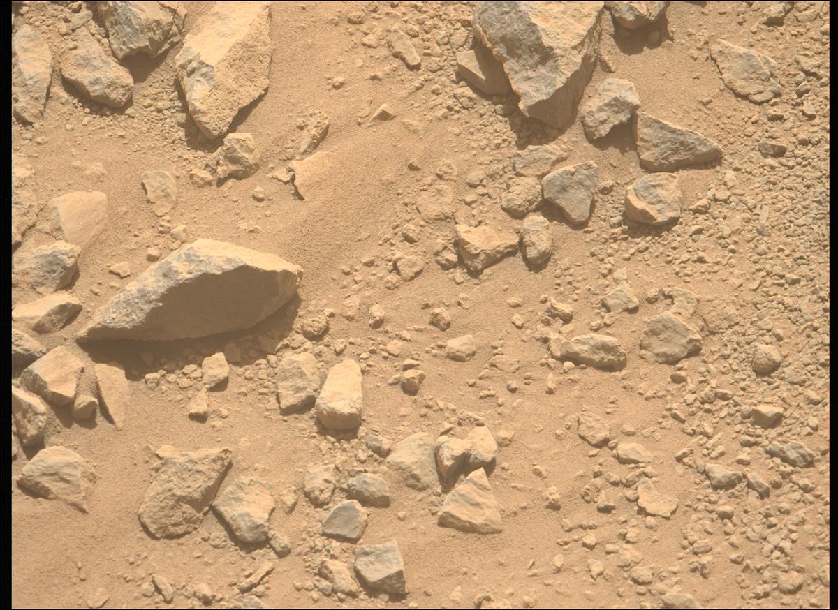 This image was taken by MCZ_LEFT onboard NASA's Mars rover Perseverance on Sol 1356
