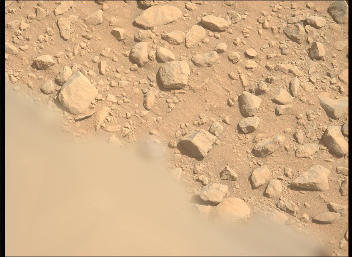 This image was taken by MCZ_LEFT onboard NASA's Mars rover Perseverance on Sol 1356