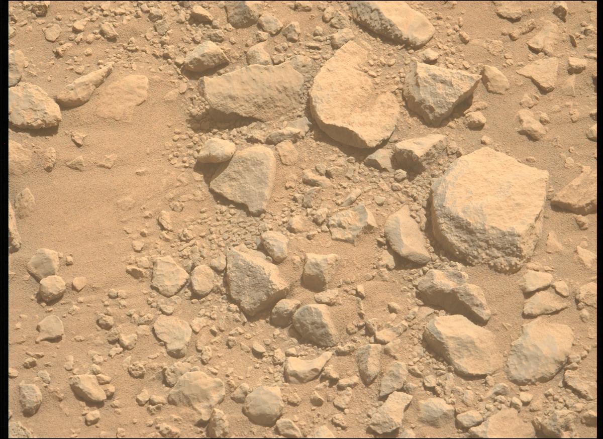 This image was taken by MCZ_LEFT onboard NASA's Mars rover Perseverance on Sol 1356