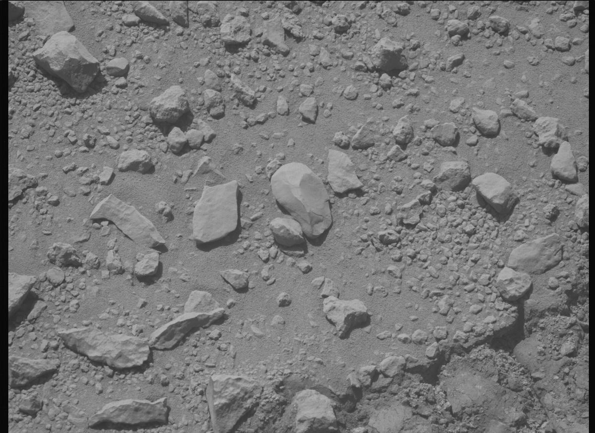 This image was taken by MCZ_LEFT onboard NASA's Mars rover Perseverance on Sol 1356