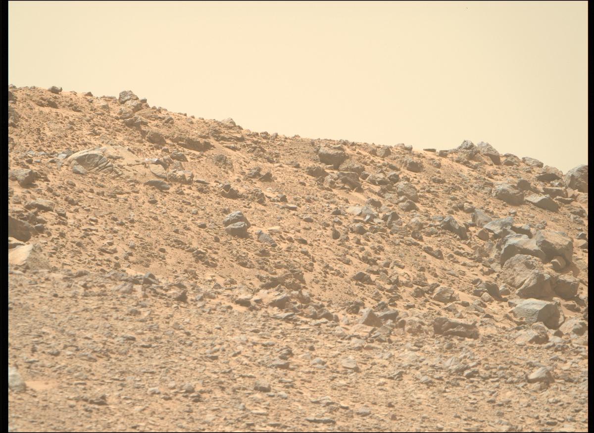 This image was taken by MCZ_RIGHT onboard NASA's Mars rover Perseverance on Sol 1356