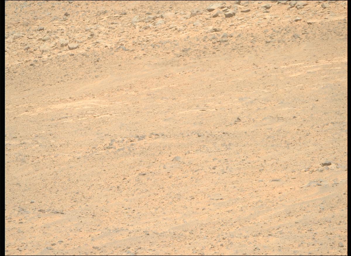 This image was taken by MCZ_RIGHT onboard NASA's Mars rover Perseverance on Sol 1356