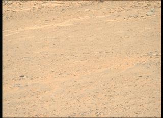 View image taken on Mars, Mars Perseverance Sol 1356: Right Mastcam-Z Camera