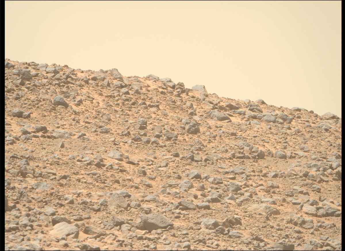 This image was taken by MCZ_RIGHT onboard NASA's Mars rover Perseverance on Sol 1356
