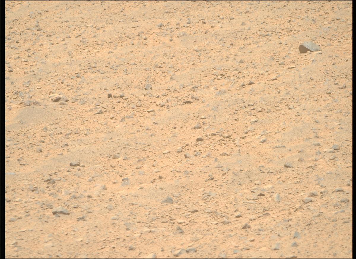 This image was taken by MCZ_RIGHT onboard NASA's Mars rover Perseverance on Sol 1356