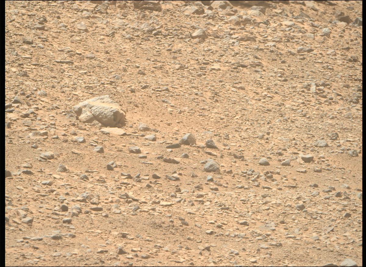 This image was taken by MCZ_RIGHT onboard NASA's Mars rover Perseverance on Sol 1356