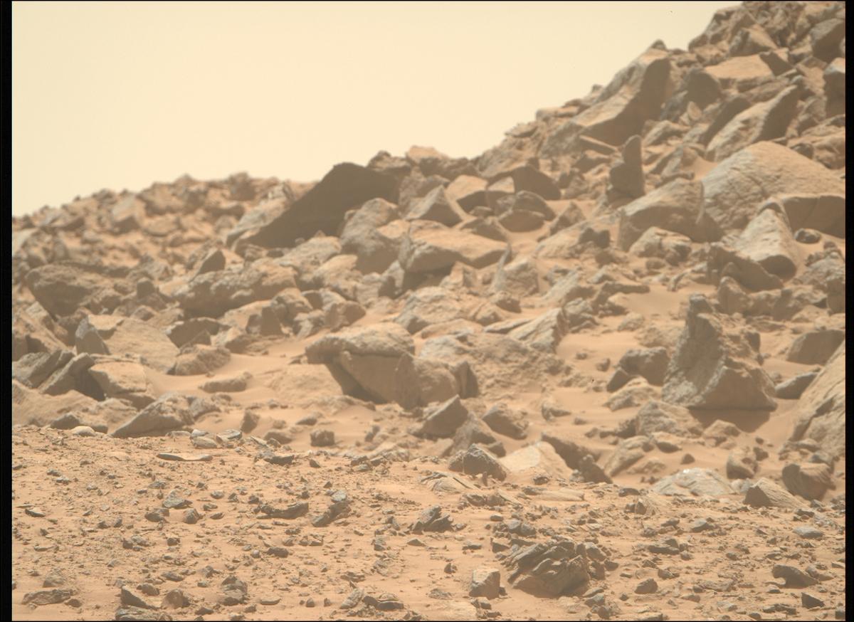 This image was taken by MCZ_RIGHT onboard NASA's Mars rover Perseverance on Sol 1356