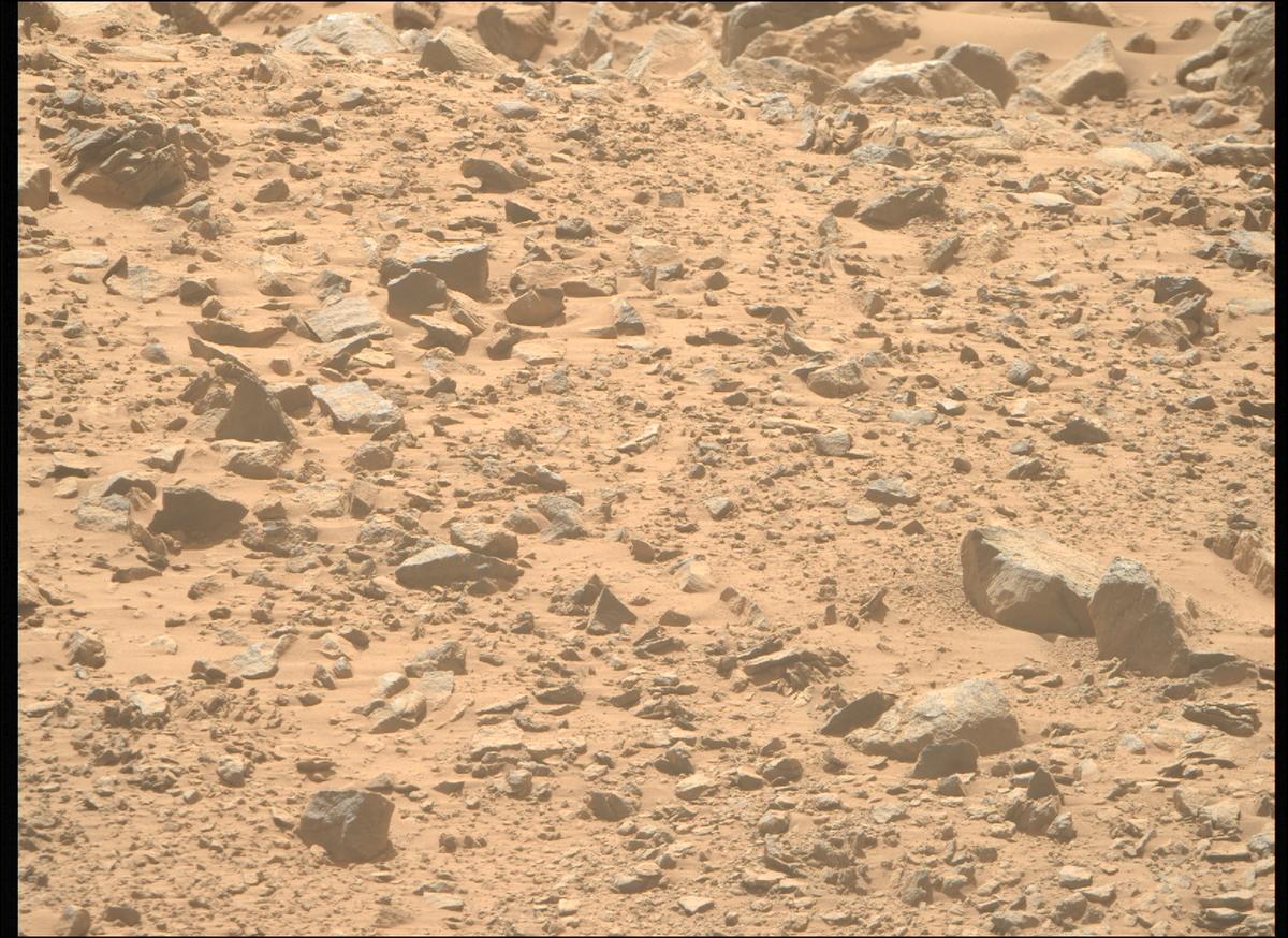 This image was taken by MCZ_RIGHT onboard NASA's Mars rover Perseverance on Sol 1356