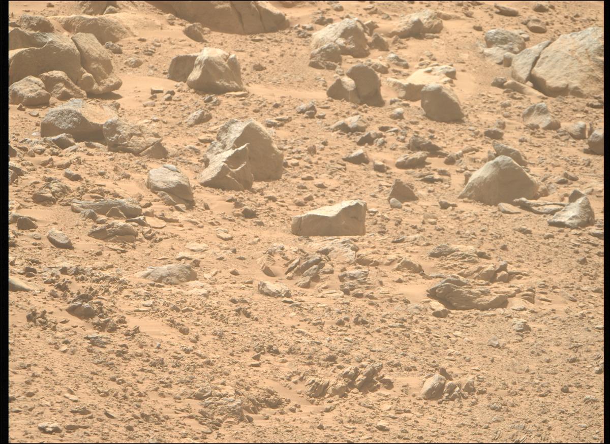 This image was taken by MCZ_RIGHT onboard NASA's Mars rover Perseverance on Sol 1356