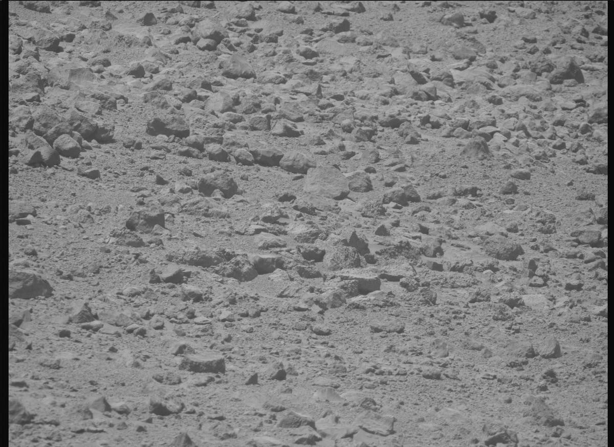 This image was taken by MCZ_RIGHT onboard NASA's Mars rover Perseverance on Sol 1356