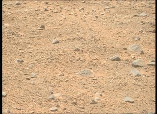 View image taken on Mars, Mars Perseverance Sol 1356: Right Mastcam-Z Camera