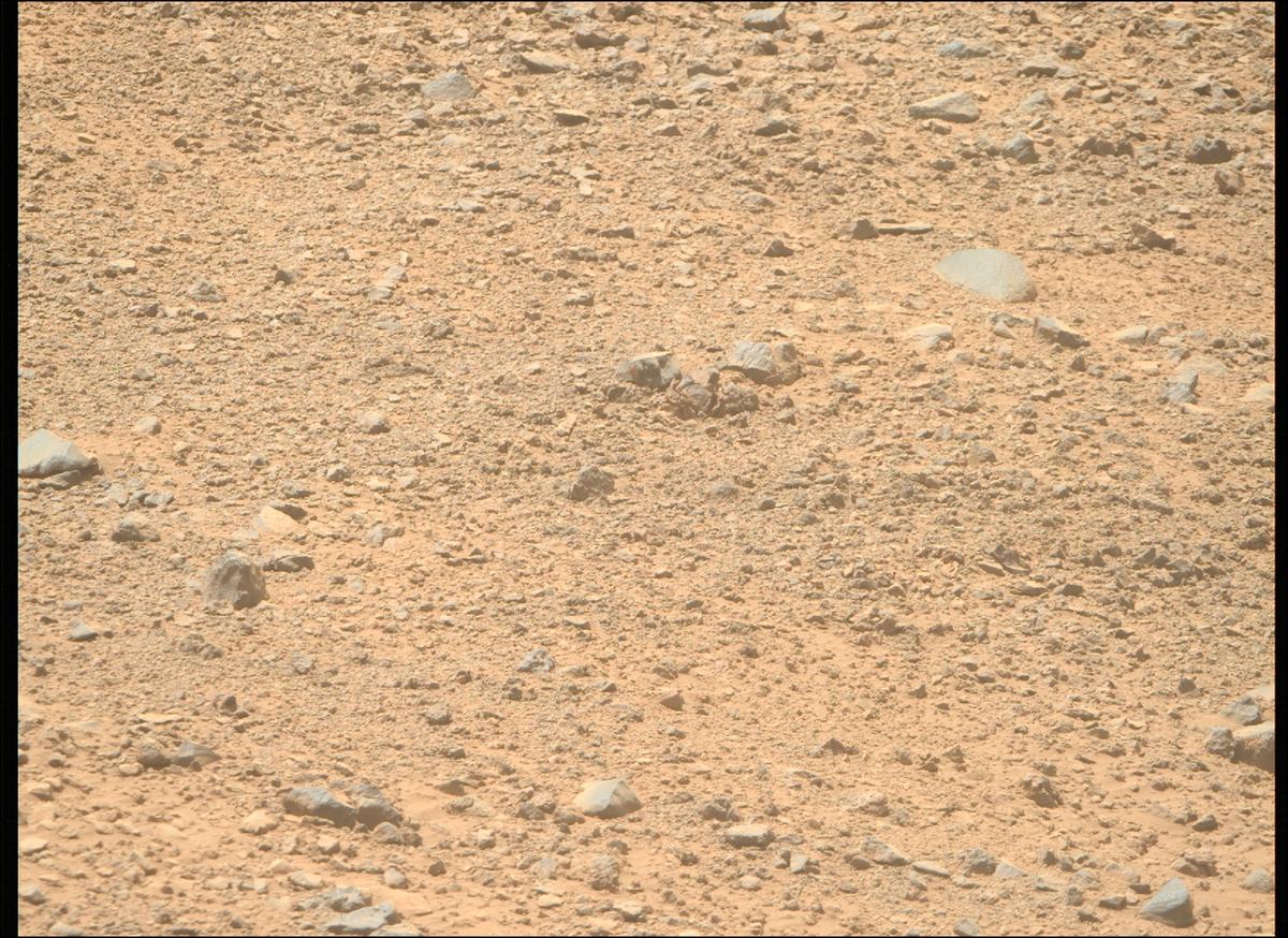 This image was taken by MCZ_RIGHT onboard NASA's Mars rover Perseverance on Sol 1356