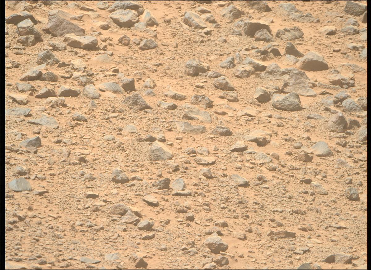 This image was taken by MCZ_RIGHT onboard NASA's Mars rover Perseverance on Sol 1356