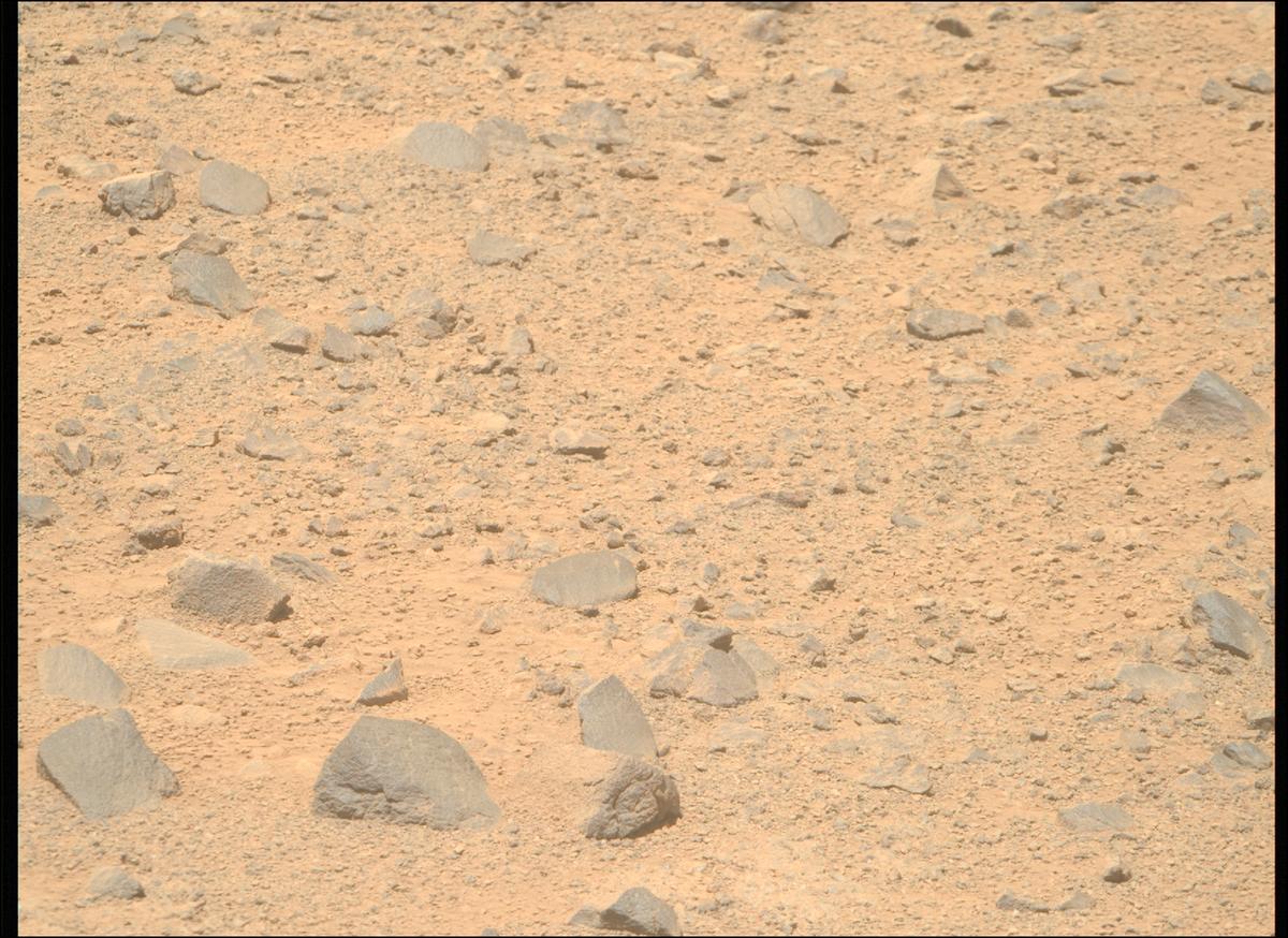 This image was taken by MCZ_RIGHT onboard NASA's Mars rover Perseverance on Sol 1356
