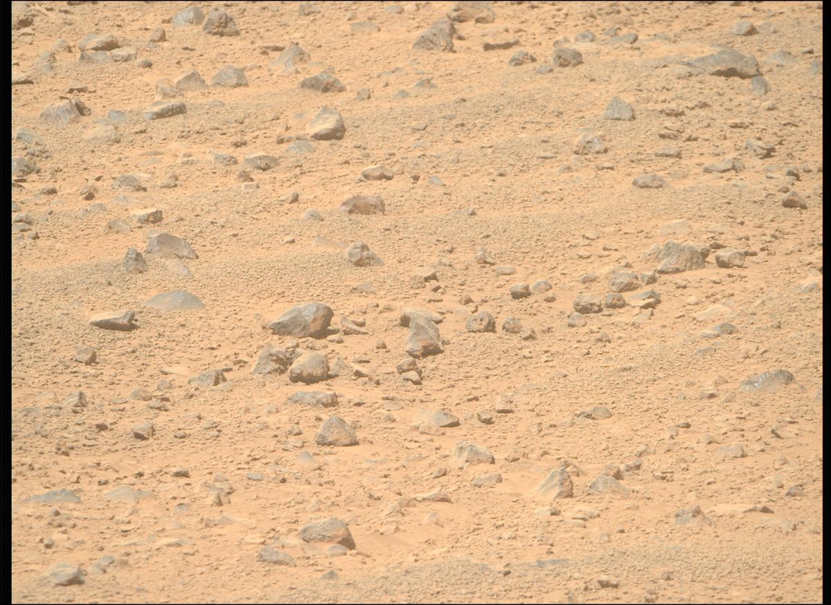 This image was taken by MCZ_RIGHT onboard NASA's Mars rover Perseverance on Sol 1356