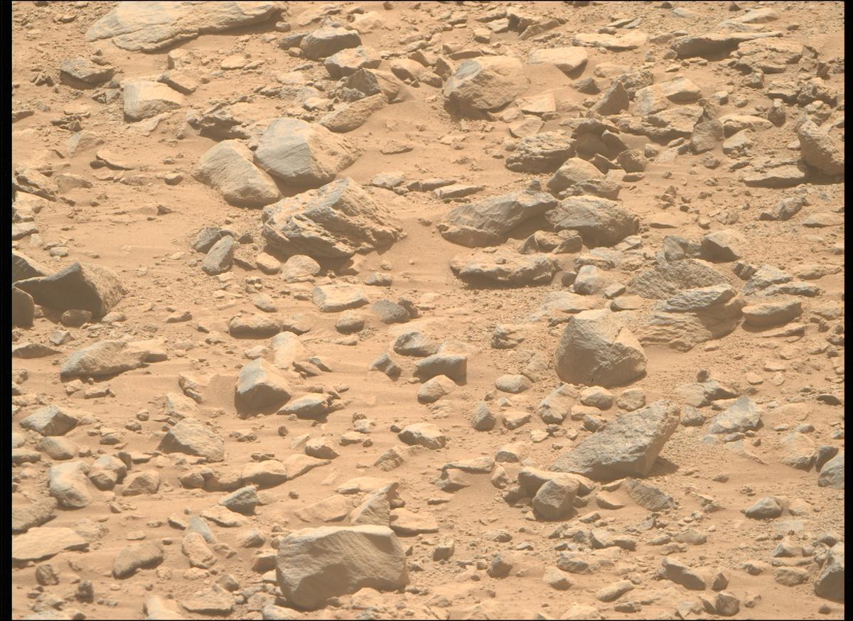 This image was taken by MCZ_RIGHT onboard NASA's Mars rover Perseverance on Sol 1356