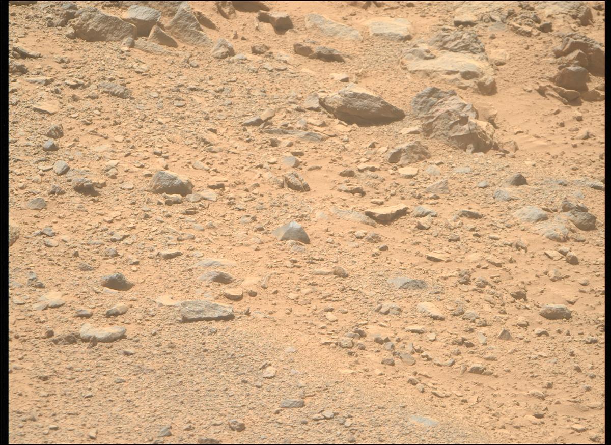 This image was taken by MCZ_RIGHT onboard NASA's Mars rover Perseverance on Sol 1356