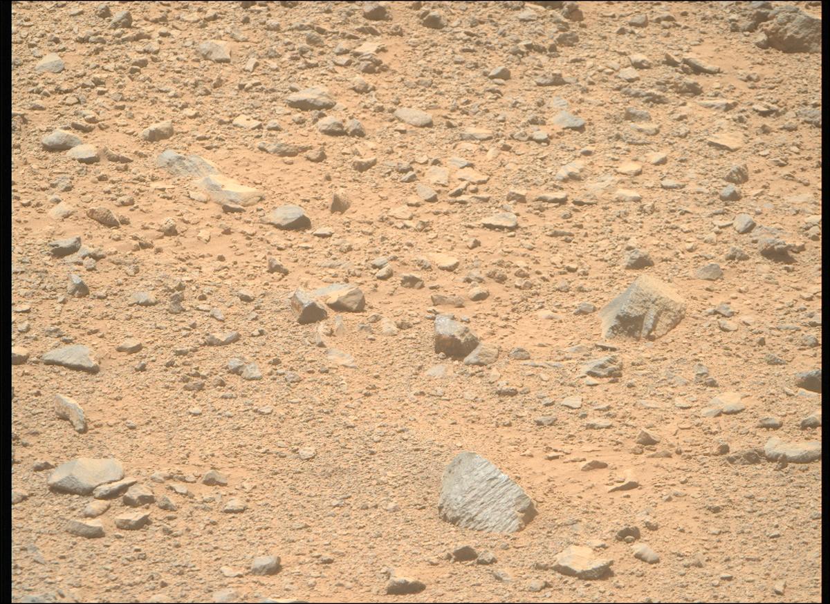 This image was taken by MCZ_RIGHT onboard NASA's Mars rover Perseverance on Sol 1356