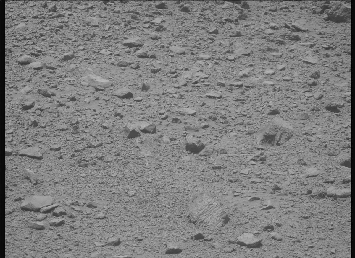 This image was taken by MCZ_RIGHT onboard NASA's Mars rover Perseverance on Sol 1356