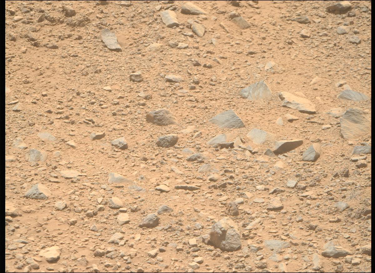 This image was taken by MCZ_RIGHT onboard NASA's Mars rover Perseverance on Sol 1356