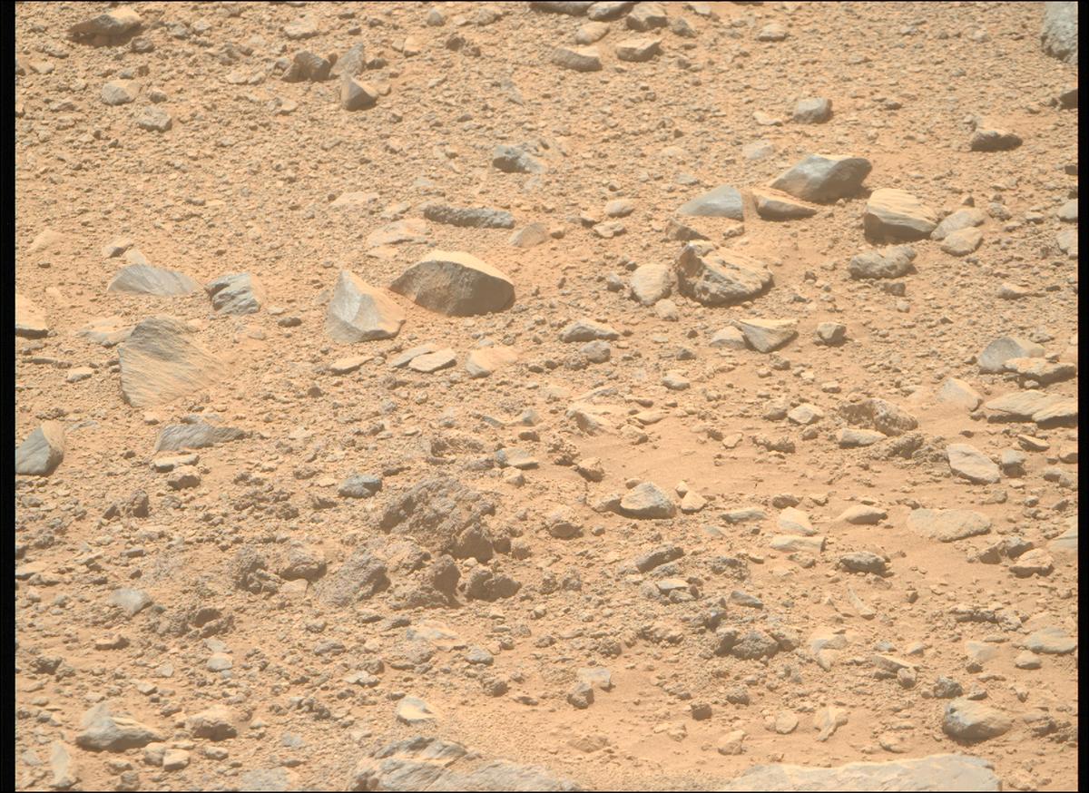 This image was taken by MCZ_RIGHT onboard NASA's Mars rover Perseverance on Sol 1356