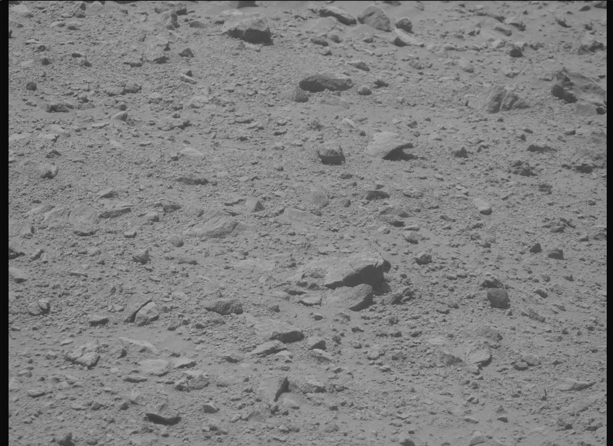 This image was taken by MCZ_RIGHT onboard NASA's Mars rover Perseverance on Sol 1356