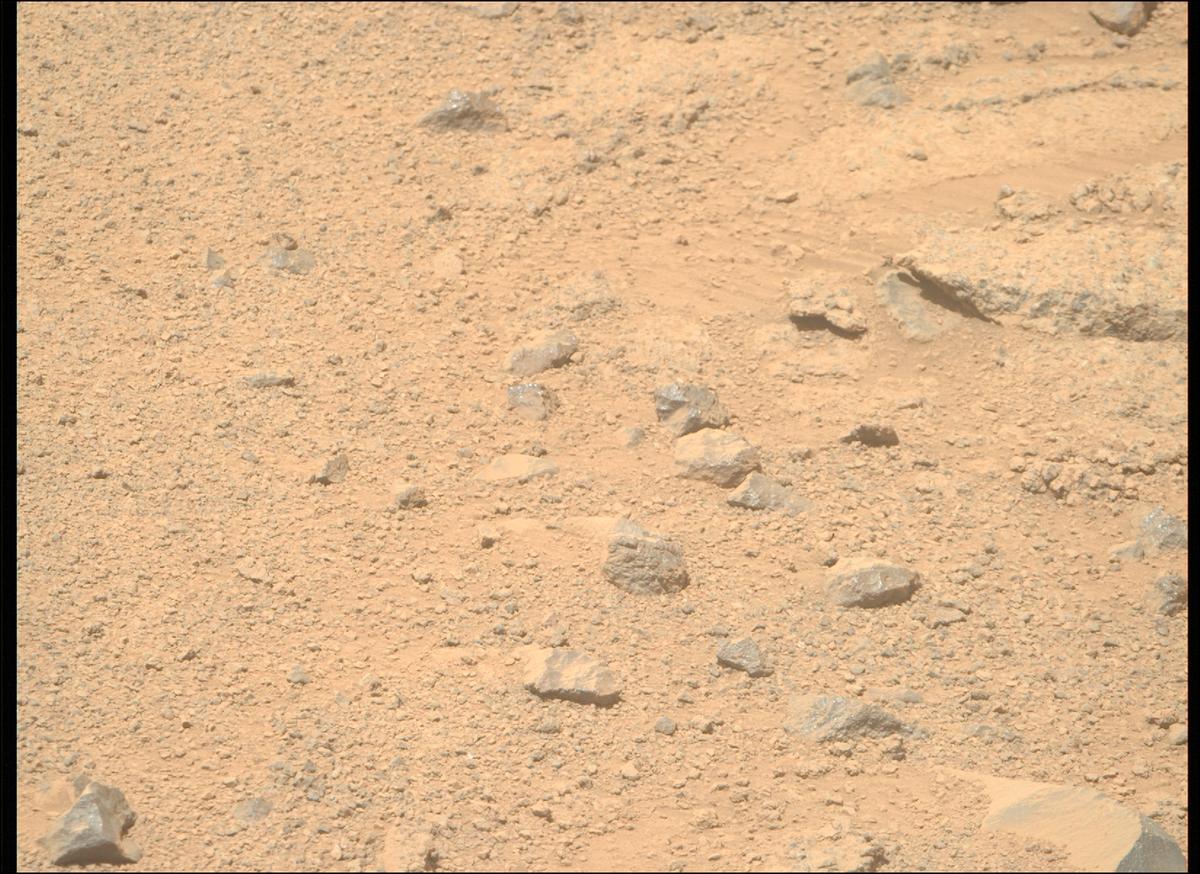 This image was taken by MCZ_RIGHT onboard NASA's Mars rover Perseverance on Sol 1356