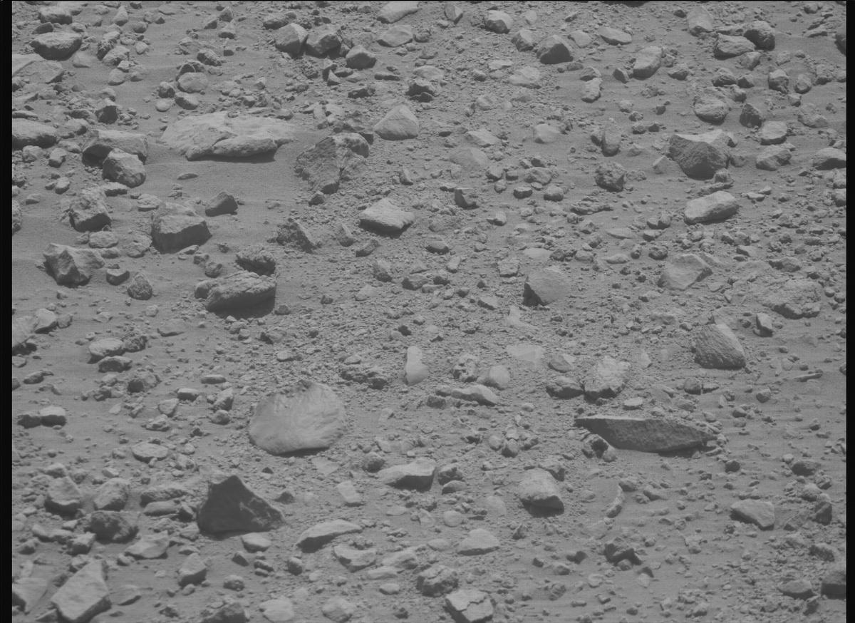 This image was taken by MCZ_RIGHT onboard NASA's Mars rover Perseverance on Sol 1356