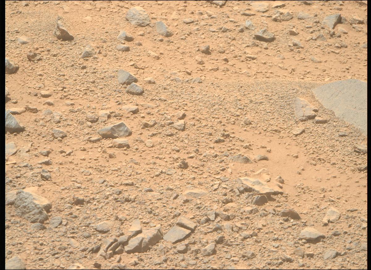 This image was taken by MCZ_RIGHT onboard NASA's Mars rover Perseverance on Sol 1356