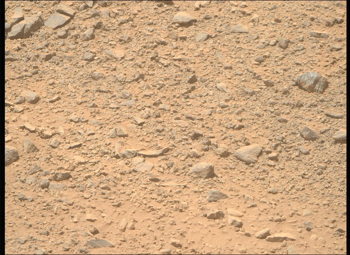 This image was taken by MCZ_RIGHT onboard NASA's Mars rover Perseverance on Sol 1356