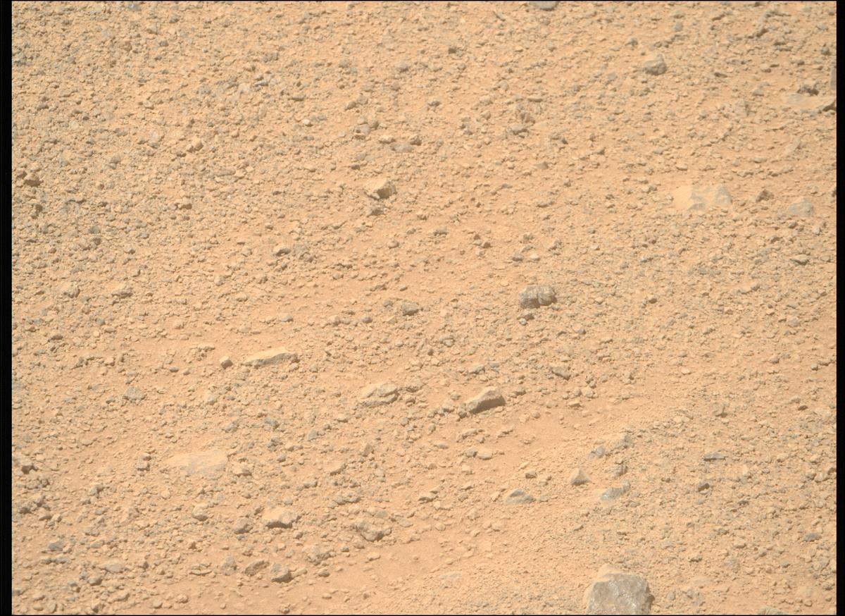 This image was taken by MCZ_RIGHT onboard NASA's Mars rover Perseverance on Sol 1356