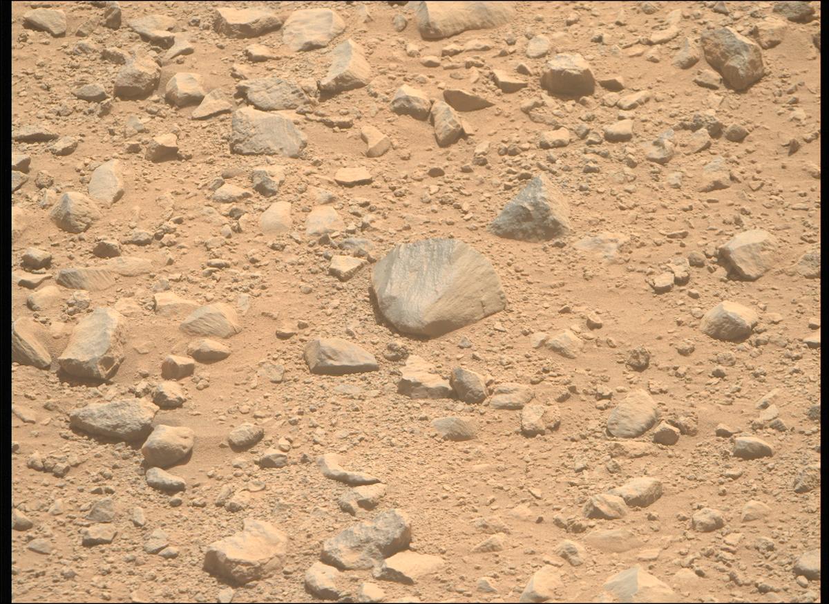 This image was taken by MCZ_RIGHT onboard NASA's Mars rover Perseverance on Sol 1356