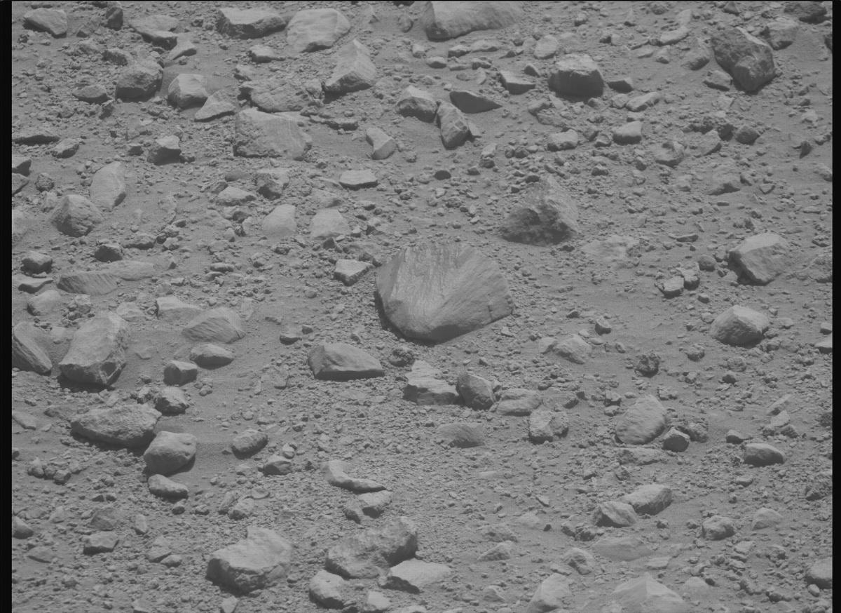 This image was taken by MCZ_RIGHT onboard NASA's Mars rover Perseverance on Sol 1356