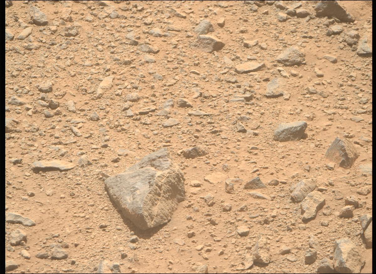 This image was taken by MCZ_RIGHT onboard NASA's Mars rover Perseverance on Sol 1356