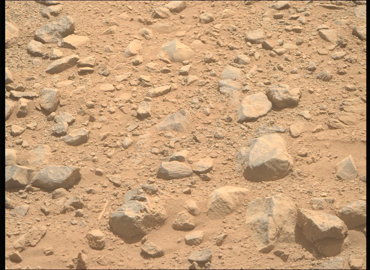 This image was taken by MCZ_RIGHT onboard NASA's Mars rover Perseverance on Sol 1356